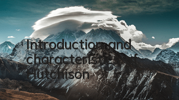 Introduction and characteristics of Hutchison