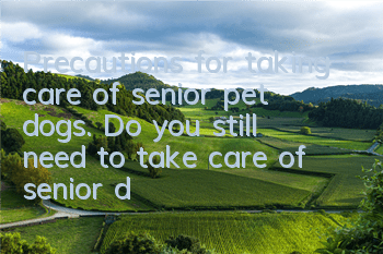 Precautions for taking care of senior pet dogs. Do you still need to take care of senior dogs in the same way?