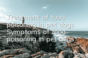 Treatment of food poisoning in pet dogs Symptoms of food poisoning in pet dogs