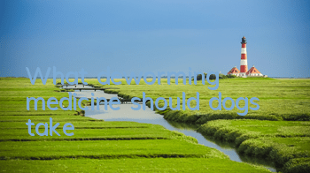 TWhat deworming medicine should dogs take?