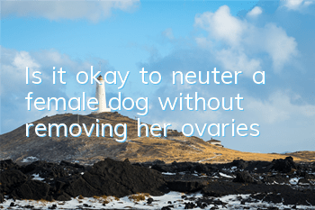 TIs it okay to neuter a female dog without removing her ovaries?