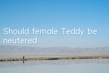 Should female Teddy be neutered?