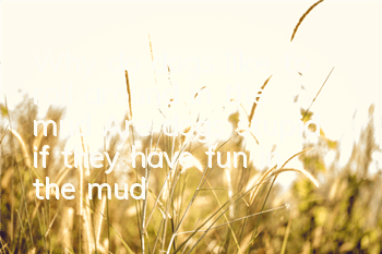 Why do dogs like to roll around in the mud? Are dogs stupid if they have fun in the mud?