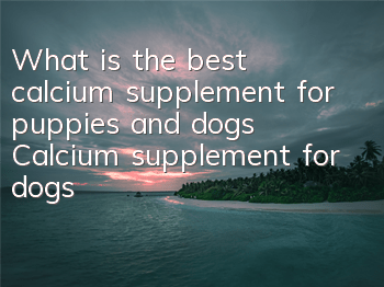 TWhat is the best calcium supplement for puppies and dogs? Calcium supplement for dogs!