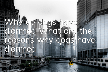 Why do dogs have diarrhea? What are the reasons why dogs have diarrhea?
