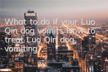 What to do if your Luo Qin dog vomits? How to treat Luo Qin dog vomiting?