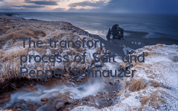 The transformation process of Salt and Pepper Schnauzer