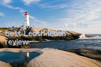 Which dog leash is the best? Leash leash review
