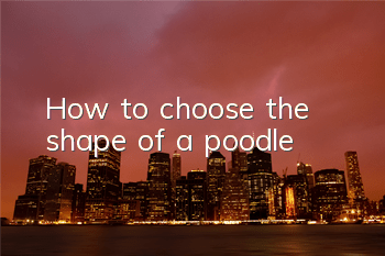How to choose the shape of a poodle