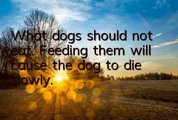 What dogs should not eat. Feeding them will cause the dog to die slowly.