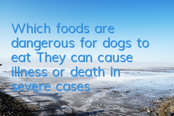 Which foods are dangerous for dogs to eat? They can cause illness or death in severe cases.
