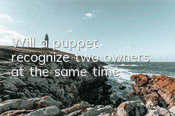 Will a puppet recognize two owners at the same time?