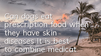 Can dogs eat prescription food when they have skin diseases? It is best to combine medication and diet together