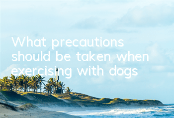 What precautions should be taken when exercising with dogs?