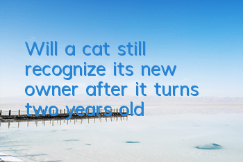 Will a cat still recognize its new owner after it turns two years old?