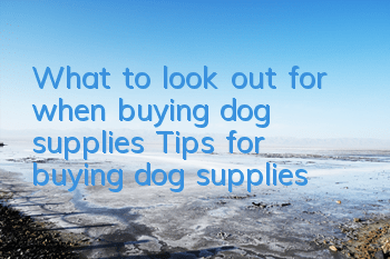 What to look out for when buying dog supplies Tips for buying dog supplies