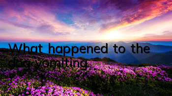 TWhat happened to the dog vomiting?