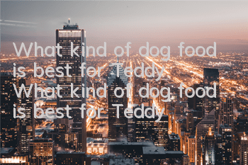 What kind of dog food is best for Teddy? What kind of dog food is best for Teddy?