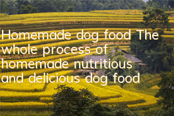 Homemade dog food The whole process of homemade nutritious and delicious dog food