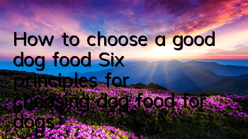 How to choose a good dog food Six principles for choosing dog food for dogs