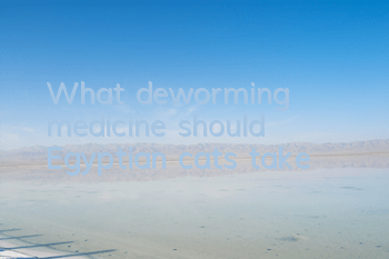 What deworming medicine should Egyptian cats take?