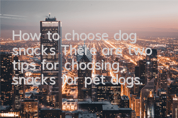 How to choose dog snacks? There are two tips for choosing snacks for pet dogs.