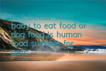 Is it better for a baby to eat food or dog food? Is human food suitable for pets?