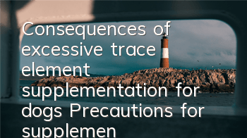 Consequences of excessive trace element supplementation for dogs Precautions for supplementing trace elements