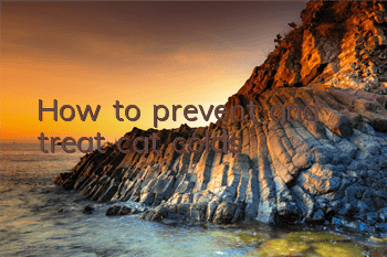 How to prevent and treat cat colds