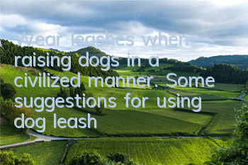 Wear leashes when raising dogs in a civilized manner. Some suggestions for using dog leashes.