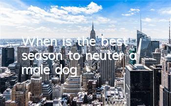 TWhen is the best season to neuter a male dog?