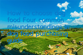 How to choose dog food? Four common misunderstandings in dog food purchasing guide