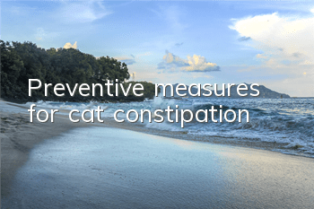 Preventive measures for cat constipation
