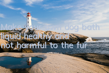 Make your own dog bath liquid, healthy and not harmful to the fur