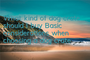 What kind of dog crate should I buy? Basic considerations when choosing a dog crate