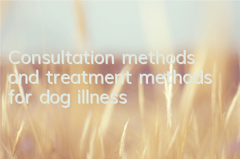 Consultation methods and treatment methods for dog illness
