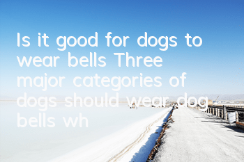 Is it good for dogs to wear bells? Three major categories of dogs should wear dog bells when going out