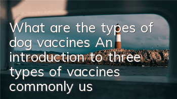 What are the types of dog vaccines? An introduction to three types of vaccines commonly used in pet clinics