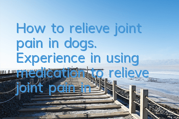 How to relieve joint pain in dogs. Experience in using medication to relieve joint pain in dogs.