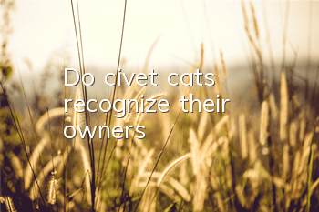 Do civet cats recognize their owners?