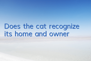 Does the cat recognize its home and owner?
