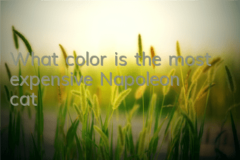 What color is the most expensive Napoleon cat?