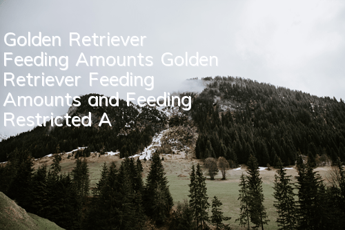 Golden Retriever Feeding Amounts Golden Retriever Feeding Amounts and Feeding Restricted Areas for Each Stage