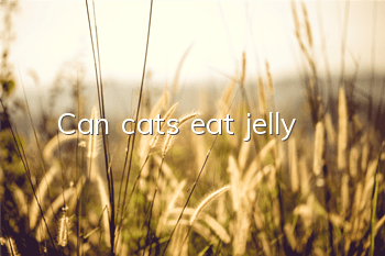 Can cats eat jelly?