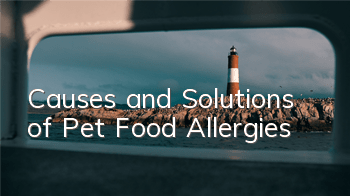 Causes and Solutions of Pet Food Allergies