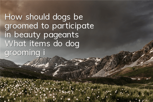 How should dogs be groomed to participate in beauty pageants? What items do dog grooming include?