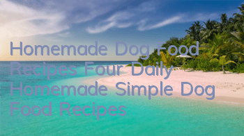 Homemade Dog Food Recipes Four Daily Homemade Simple Dog Food Recipes