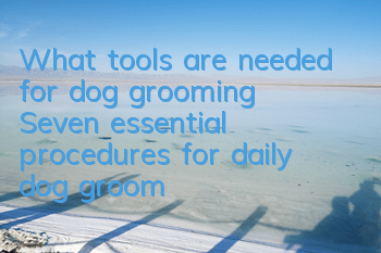 What tools are needed for dog grooming? Seven essential procedures for daily dog ​​grooming