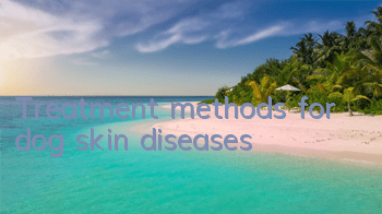 Treatment methods for dog skin diseases