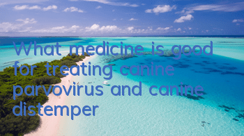 What medicine is good for treating canine parvovirus and canine distemper?